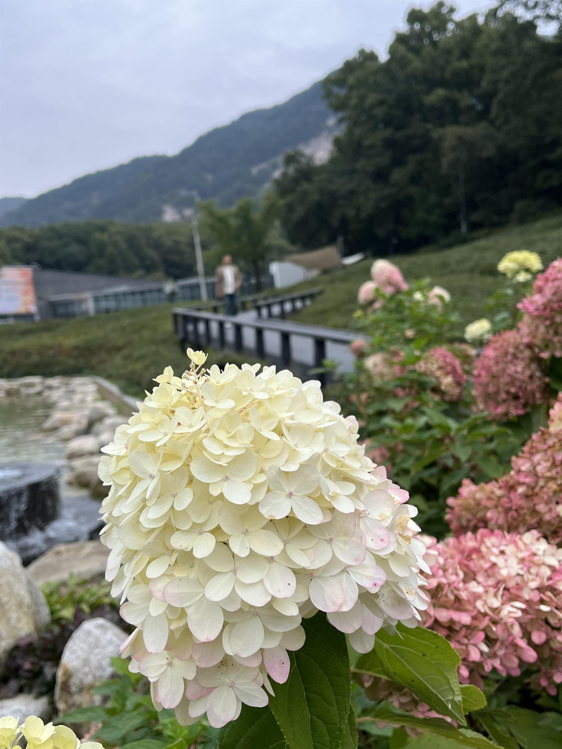 KakaoTalk_20251026_210720335_05.jpg KakaoTalk_20251026_210720335_05.jpg