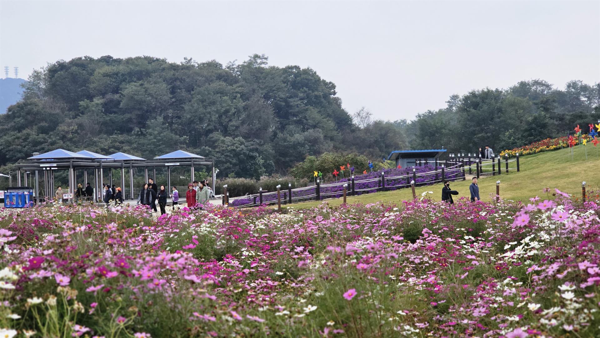 KakaoTalk_20251101_130445563.jpg KakaoTalk_20251101_130445563.jpg