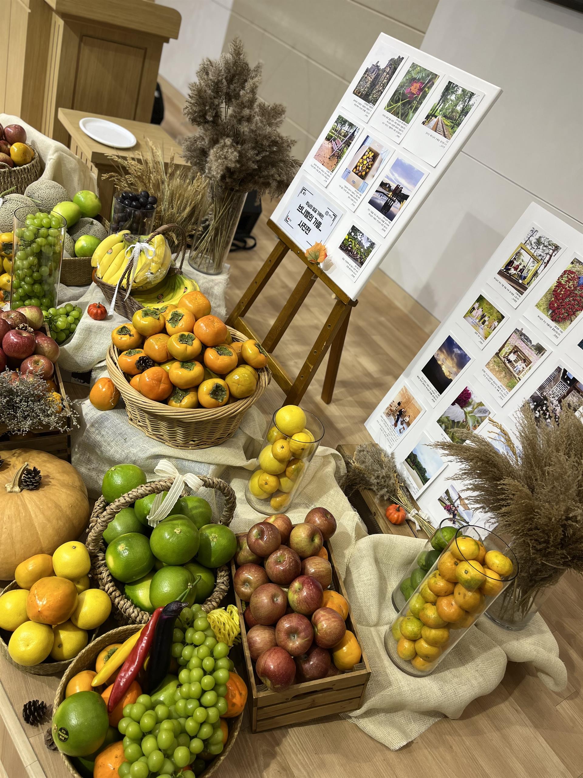 KakaoTalk_20251101_153207194.jpg KakaoTalk_20251101_153207194.jpg