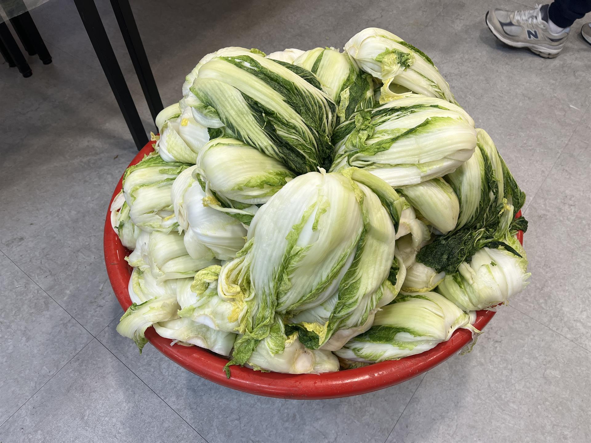 KakaoTalk_20251123_132929694_17.jpg KakaoTalk_20251123_132929694_17.jpg