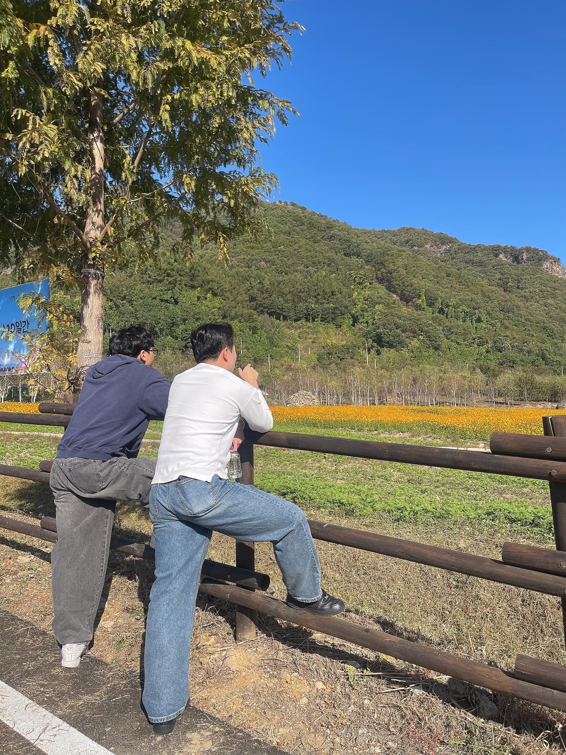 KakaoTalk_20261010_122915813_11.jpg
