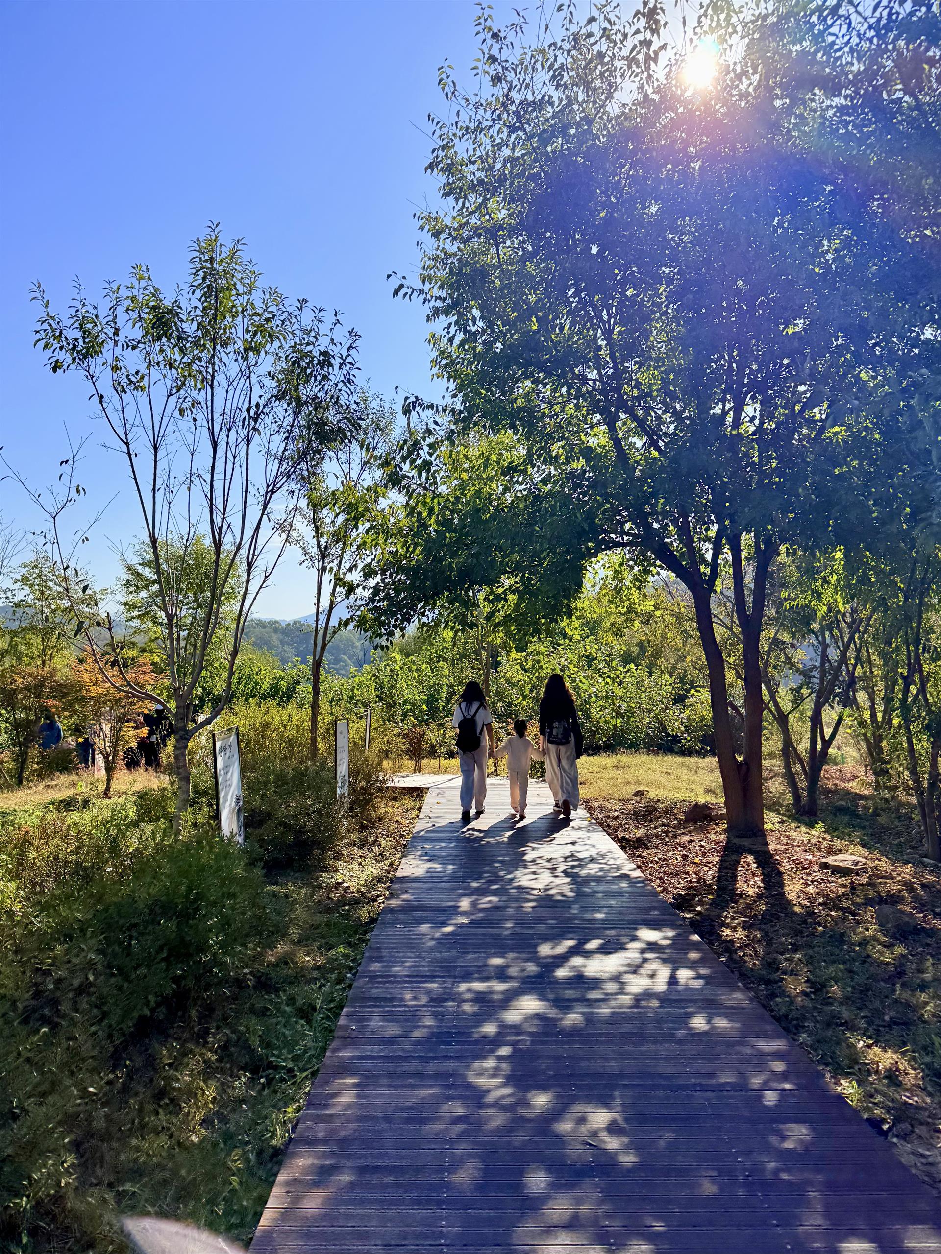 KakaoTalk_20261013_105354976_10.jpg