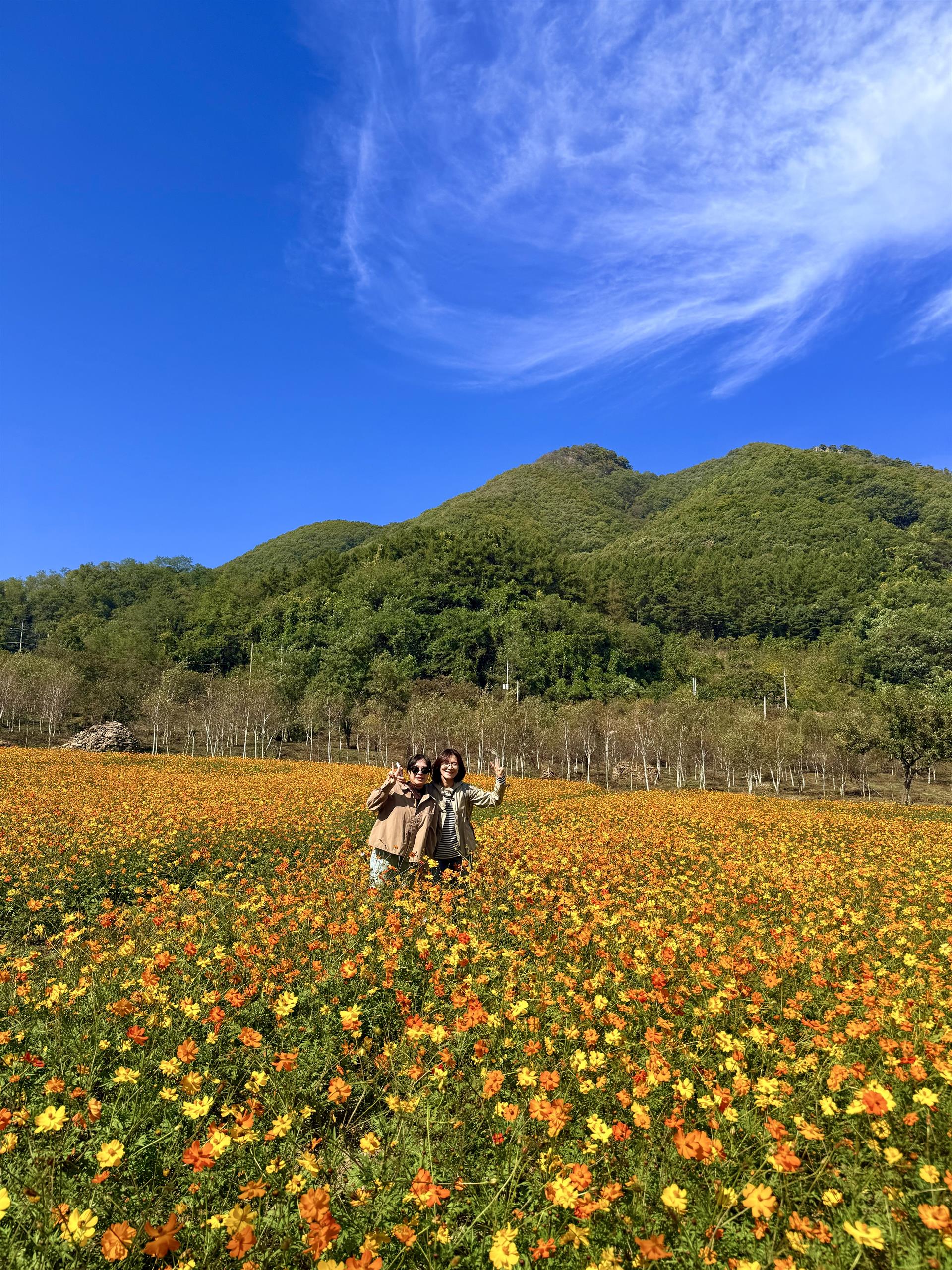 KakaoTalk_20261013_105408278_21.jpg