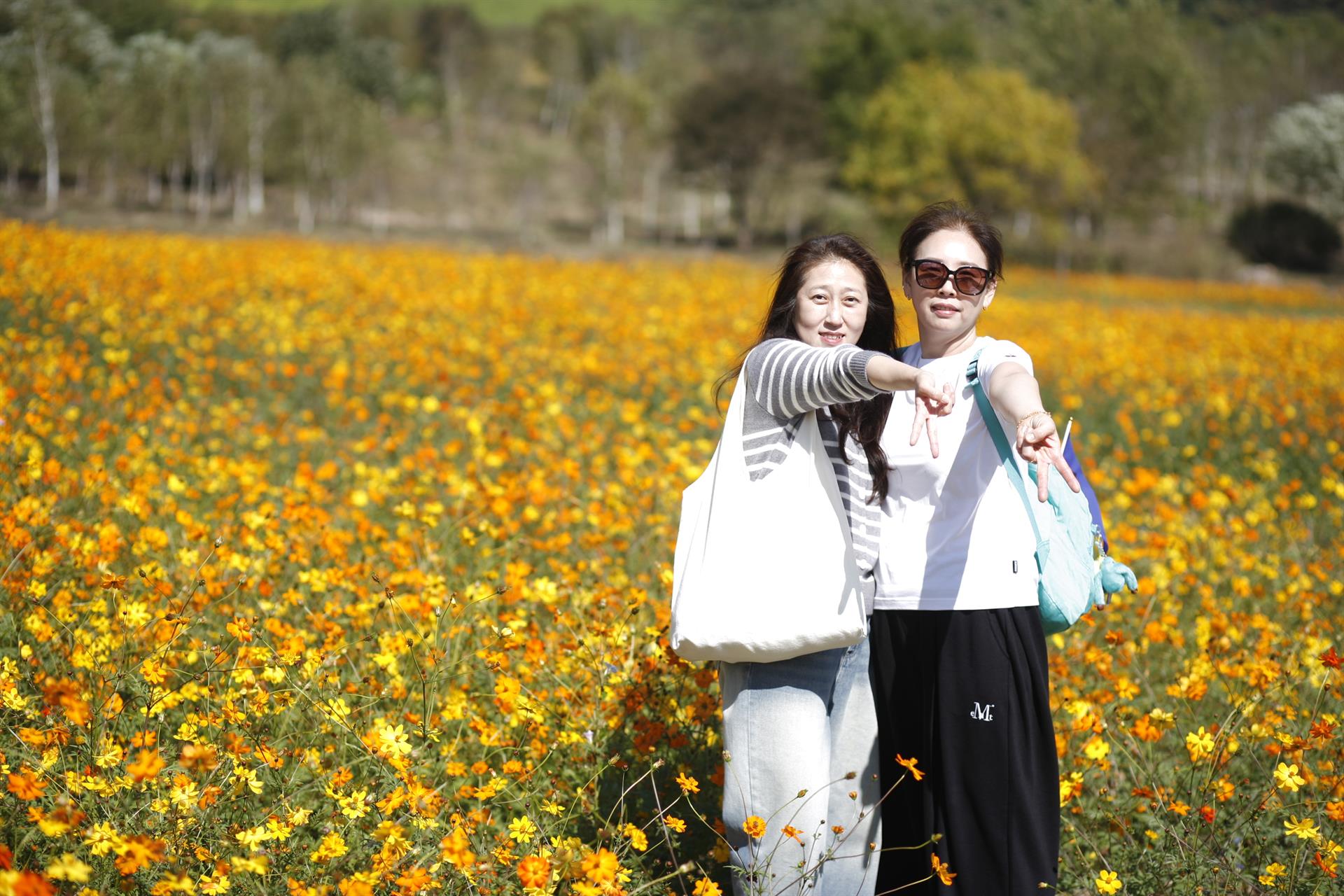 KakaoTalk_20261013_105945445_21.jpg