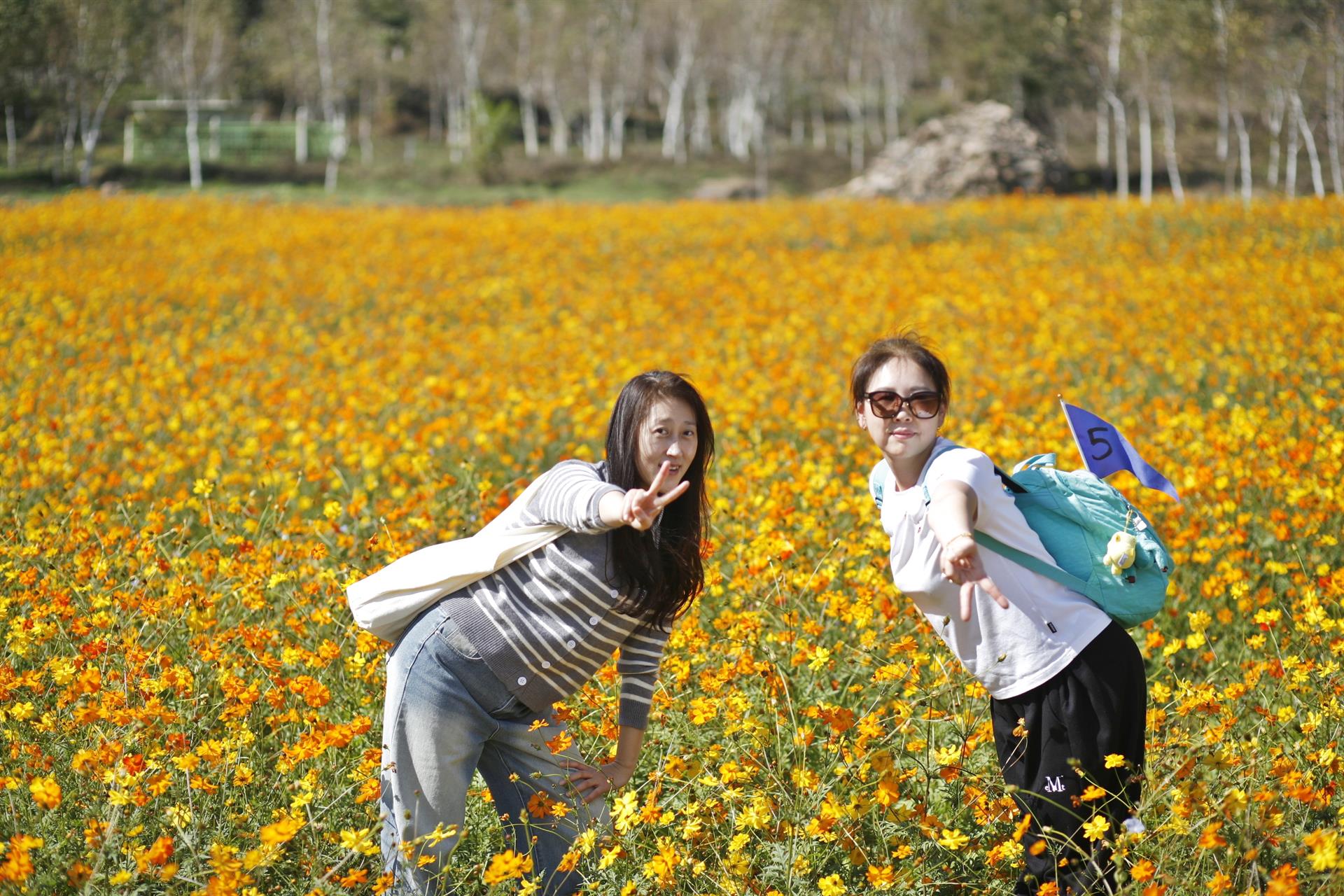KakaoTalk_20261013_105945445_23.jpg