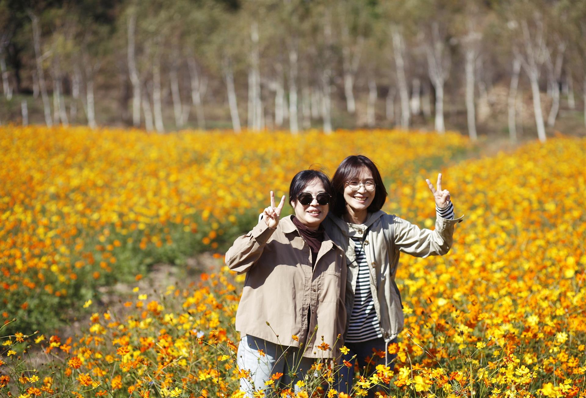 KakaoTalk_20261013_105945445_24.jpg